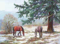 Spring Melt.jpg (59728 bytes)